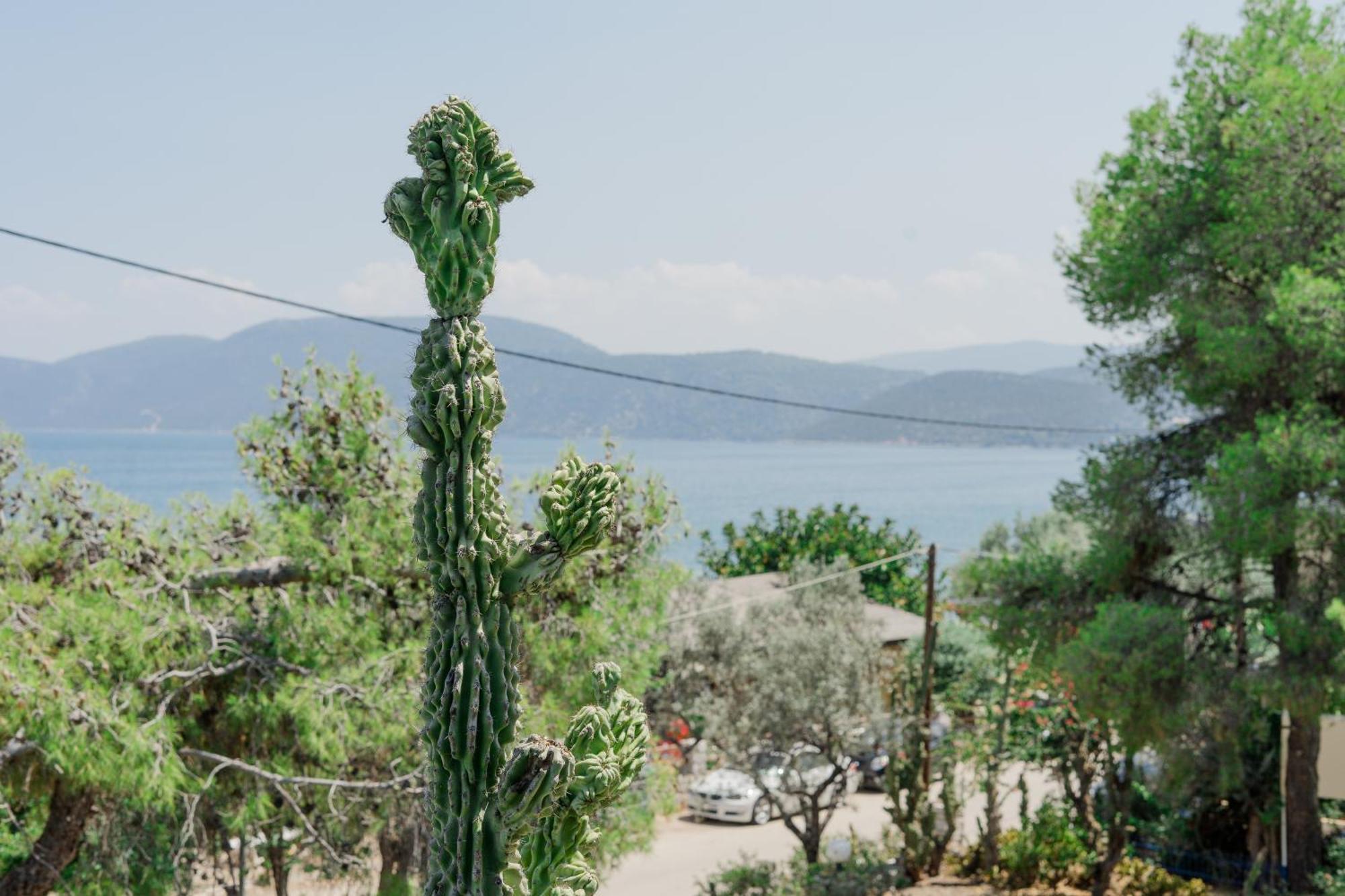 Hotel Korfos - Ξενοδοχείο Κόρφος Renovated Bagian luar foto